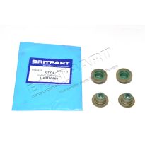 Valve Stem Oil Seal - 2.0L 4 Cyl MPi Petrol | Discovery 1 (1989-1998)