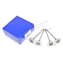 Inlet Valve - AJ V8 4.2 & 4.4 | Discovery 3, Range Rover, Range Rover Sport