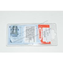 Drain Plug - 6 Speed Auto AWF21 Transmission | Freelander 2 2006-2014