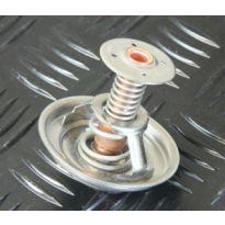 Thermostat Insert - 3.6 TDV8 | Range Rover, Range Rover Sport