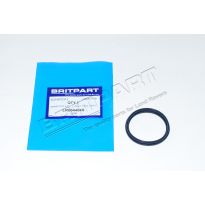 Inlet Manifold Ring Seal