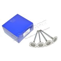 Inlet Valve - 5.0 AJ-V8 | Discovery 4, Range Rover L322, Range Rover Sport