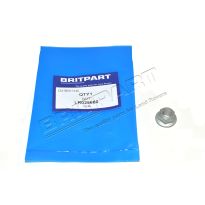 M10 Flanged Nut - 2.0 TIVCT Turbo | Discovery Sport, Freelander 2, Range Rover