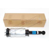 Front Suspension Strut and Air Bag Assembly - Range Rover Sport 2010-2013