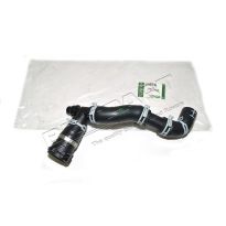 Hose - Radiator