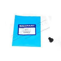Bleed Screw - 3.0 Diesel, 4.4 V8 | Range Rover 2002-2009