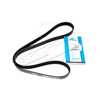 V-Belt