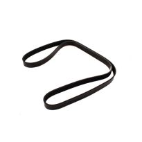 Drive Belt