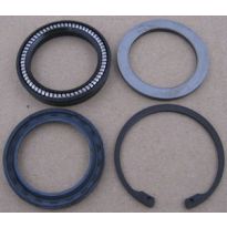 Steering Box Output Seal Kit - Discovery 2, 1998-2004
