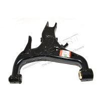 Arm Assy - Rear Suspension