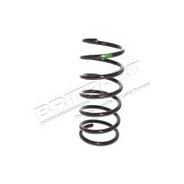 Rear Coil Spring - Green - Rear Suspension | Freelander 2001 On