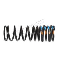 Coil Spring - Military - rear LH / RH