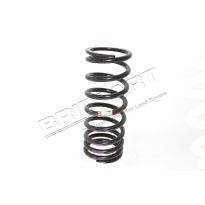 Rear Coil Spring - Rear Suspension | Discovery 2 up to VIN 2A999999