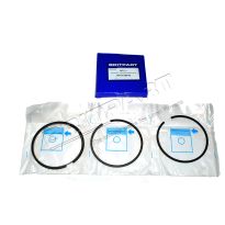 Ring Set - 2.25/2.5P 010 Cords