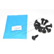 Pan-Head Torx Screw M10 x 20mm - Front Ball Joint | Range Rover 2002-2012
