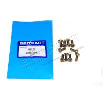 Pan-Headed Screw M6 x 16mm - Defender, Discovery 1, Range Rover Classic