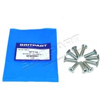 1/4 UNF x 1in Countersunk Screw - Tailgate Striker | Range Rover Classic