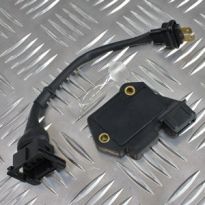 Ignition Module & Link Lead