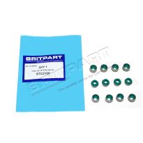 Valve Stem Seal