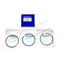 Piston Ring Kit 300Tdi Rr/Ds/90/110