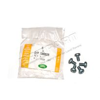 M6 X 10MM Pan-Headed Torx Screw - Brake Shield | Discovery 3, Discovery 4, Range Rover Sport, Range Rover