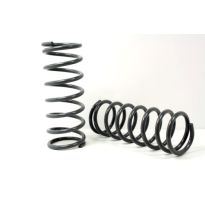 Coil Springs - Front - Medium Load - 2 Inch Lift - Pair | Discovery 2