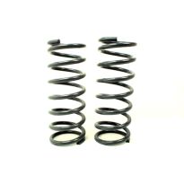 Coil Springs - Front - Heavy Load - 2 Inch Lift - Pair | Discovery 2