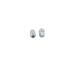 Wheel Nut - X1 - RVS Bead Lock Alloy Wheels | Ds2 - RR P38